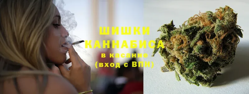 Шишки марихуана SATIVA & INDICA  купить  цена  Коломна 